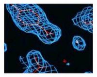 <p>British scientists claim that they have made a key breakthrough in the battle against diabetes by mapping the most important genes that put people at risk of type 2 diabetes.</p>
