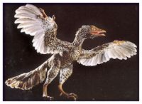 'Microraptor gui' glided like biplane - Fresh analysis shows