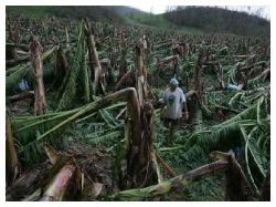 Nature's fury takes its toll